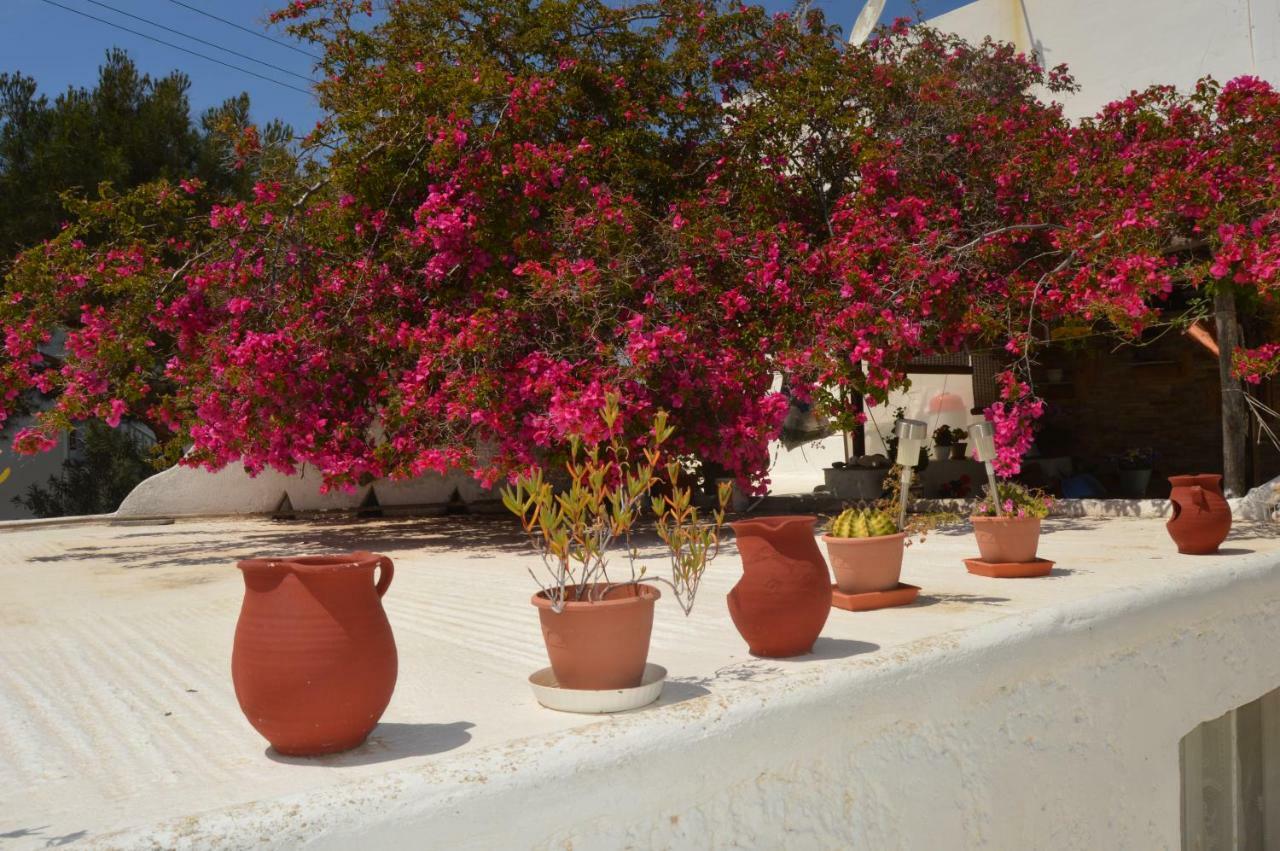Secret Garden Apartments Mykonos Town Exterior foto