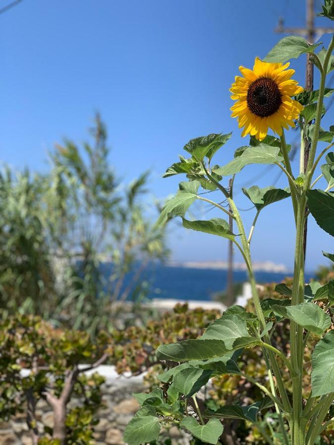 Secret Garden Apartments Mykonos Town Exterior foto